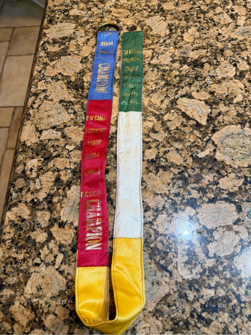 Multi-Color Champion Award Ribbon slip  Belt : Equestrian themed vintage
